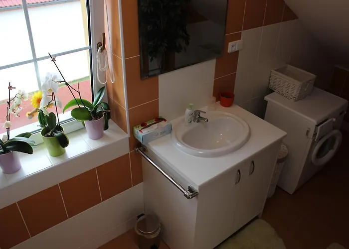 Orange Loft